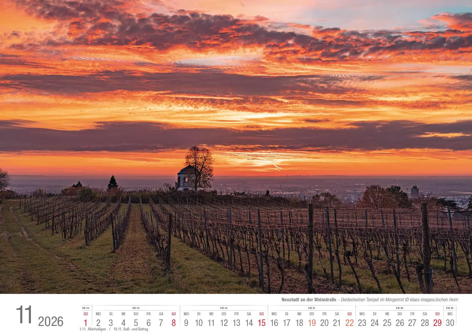Bild: 9783965352643 | Neustadt a. d. Weinstraße 2026 Bildkalender A3 Spiralbindung | Klaes