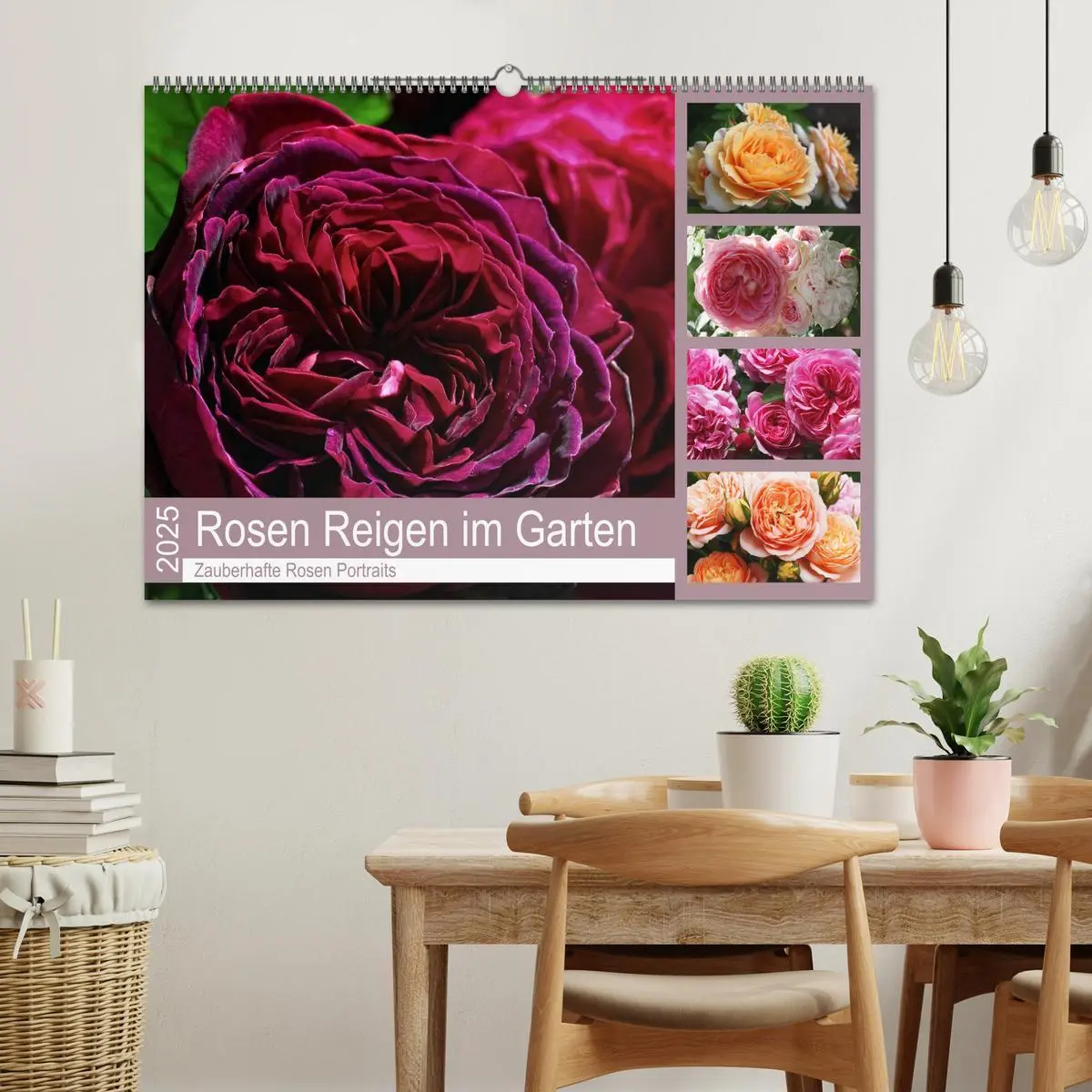 Bild: 9783435452743 | Rosen Reigen im Garten (Wandkalender 2025 DIN A2 quer), CALVENDO...
