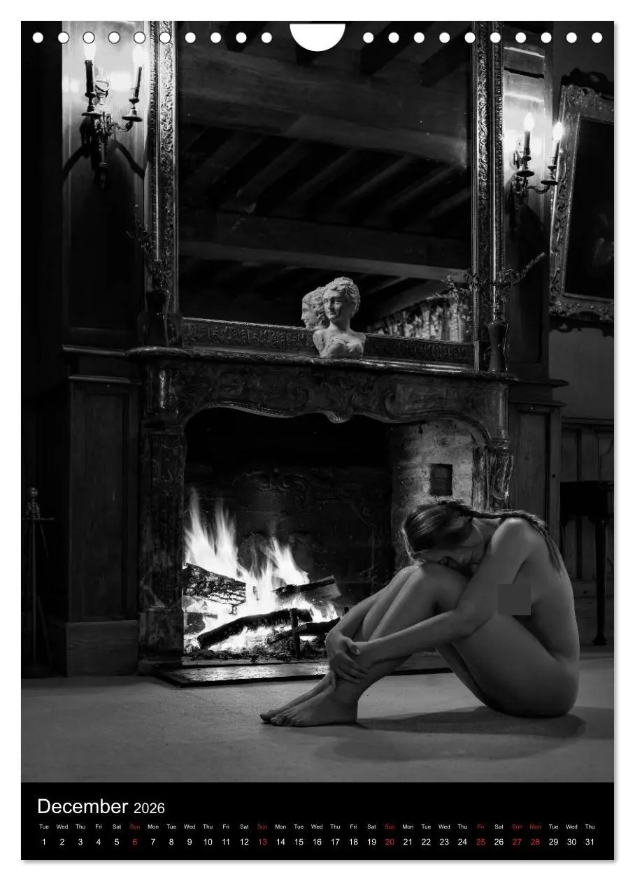 Bild: 9783516562743 | Ladies in the castle (Wall Calendar 2026 DIN A4 portrait), CALVENDO...