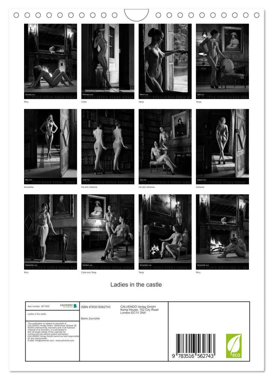 Bild: 9783516562743 | Ladies in the castle (Wall Calendar 2026 DIN A4 portrait), CALVENDO...