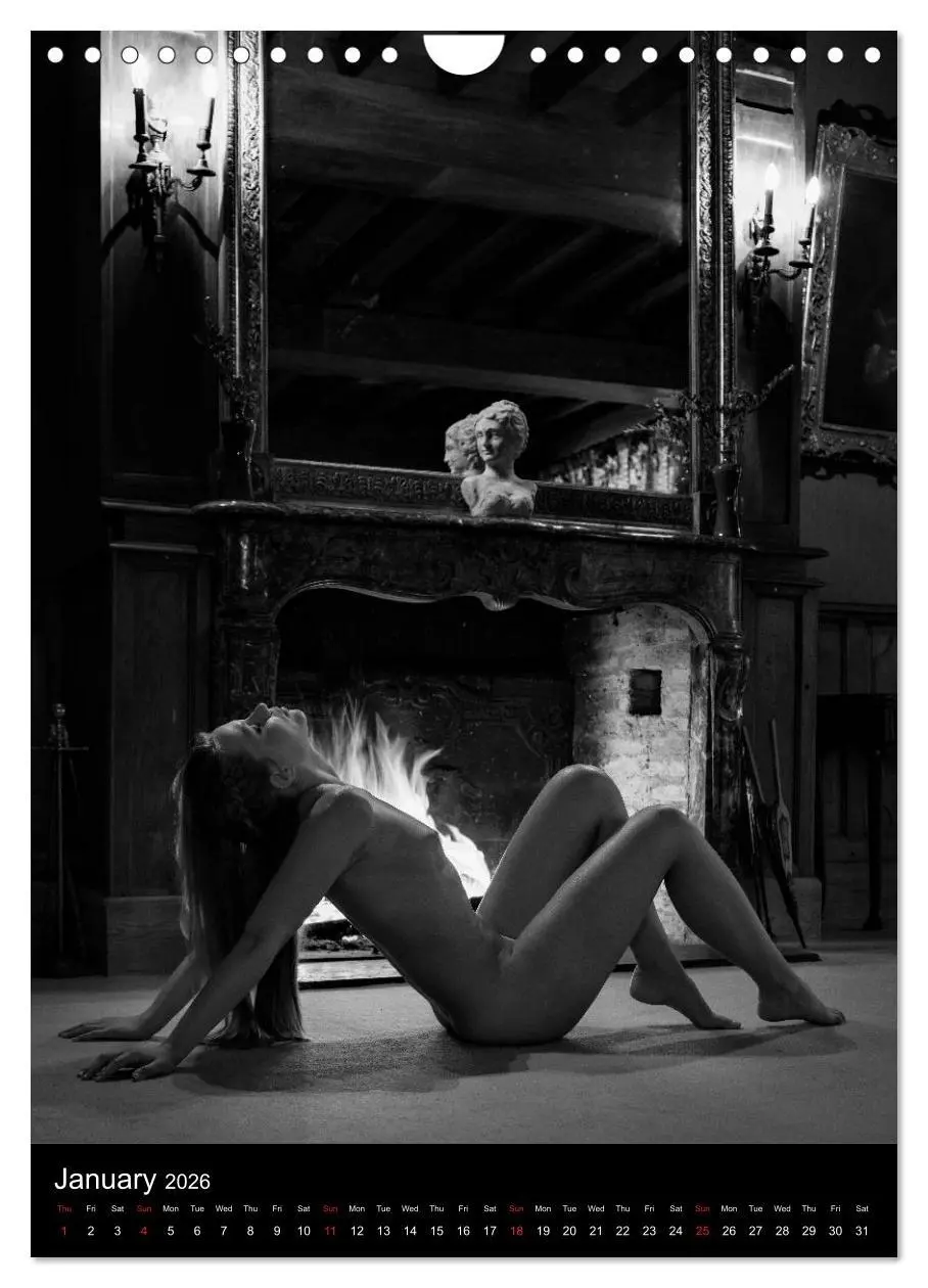 Bild: 9783516562743 | Ladies in the castle (Wall Calendar 2026 DIN A4 portrait), CALVENDO...