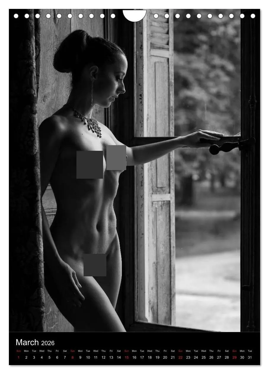 Bild: 9783516562743 | Ladies in the castle (Wall Calendar 2026 DIN A4 portrait), CALVENDO...