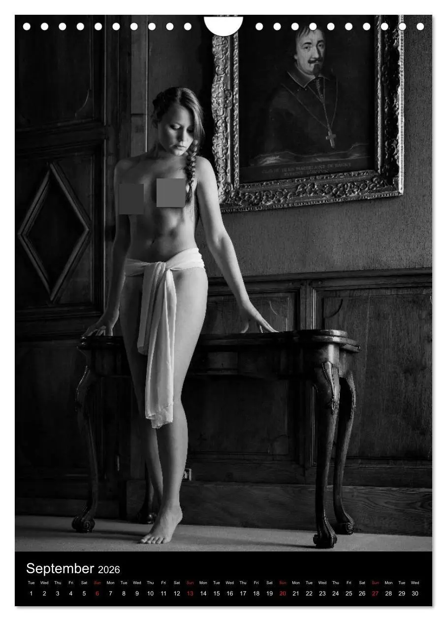 Bild: 9783516562743 | Ladies in the castle (Wall Calendar 2026 DIN A4 portrait), CALVENDO...