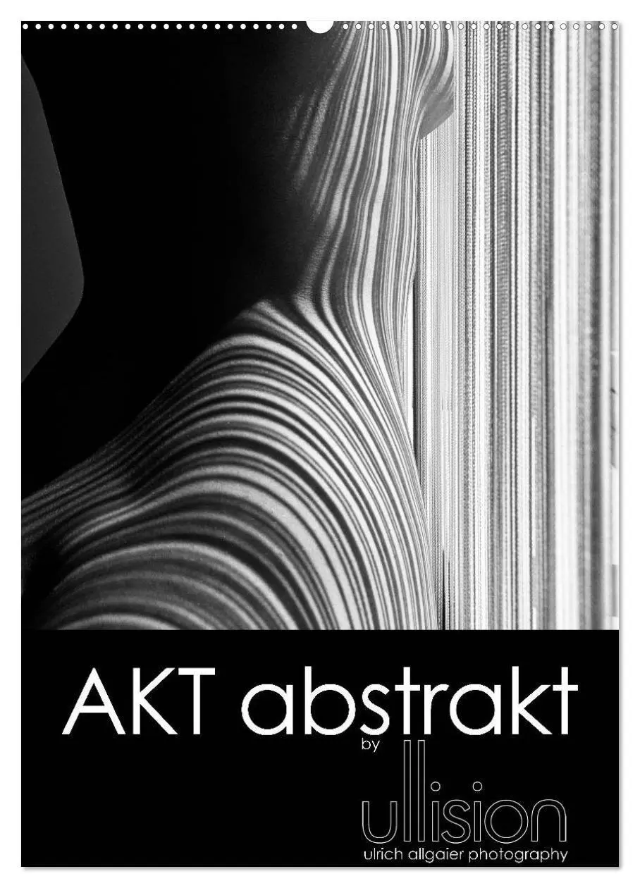 Cover: 9783594162743 | Akt abstrakt (Wandkalender 2027 DIN A2 hoch), CALVENDO Monatskalender