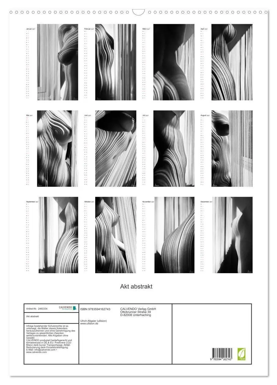 Bild: 9783594162743 | Akt abstrakt (Wandkalender 2027 DIN A2 hoch), CALVENDO Monatskalender