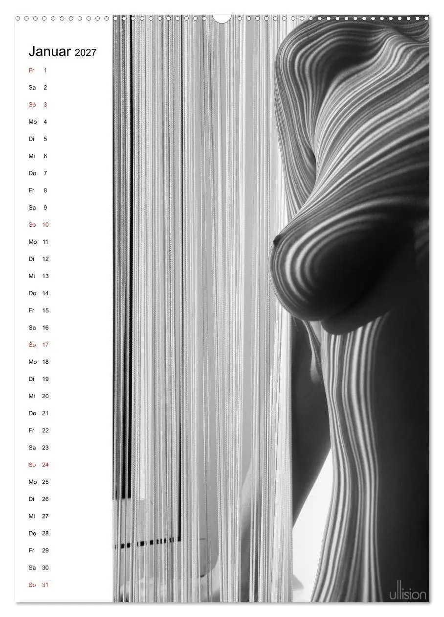 Bild: 9783594162743 | Akt abstrakt (Wandkalender 2027 DIN A2 hoch), CALVENDO Monatskalender