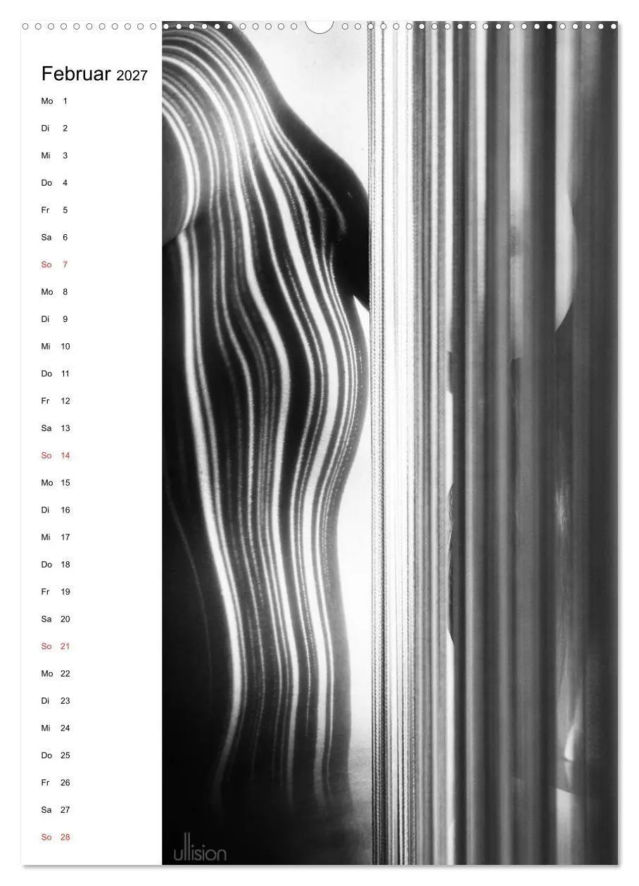 Bild: 9783594162743 | Akt abstrakt (Wandkalender 2027 DIN A2 hoch), CALVENDO Monatskalender
