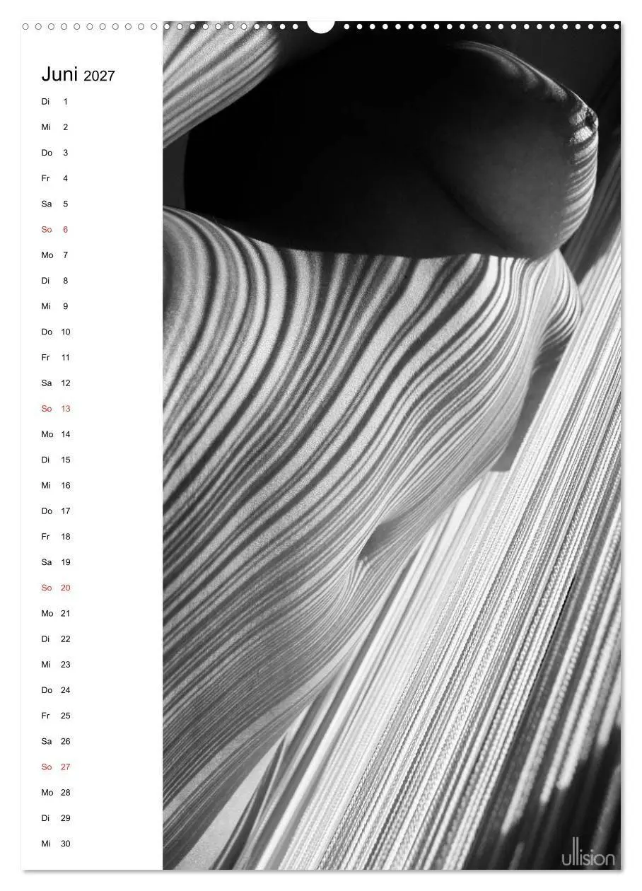Bild: 9783594162743 | Akt abstrakt (Wandkalender 2027 DIN A2 hoch), CALVENDO Monatskalender