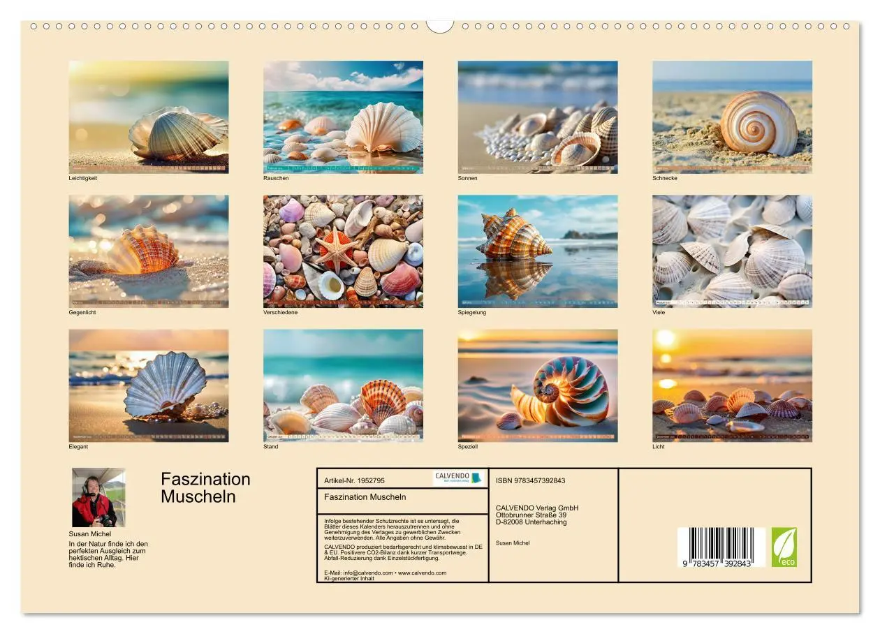 Bild: 9783457392843 | Faszination Muscheln (hochwertiger Premium Wandkalender 2026 DIN A2...