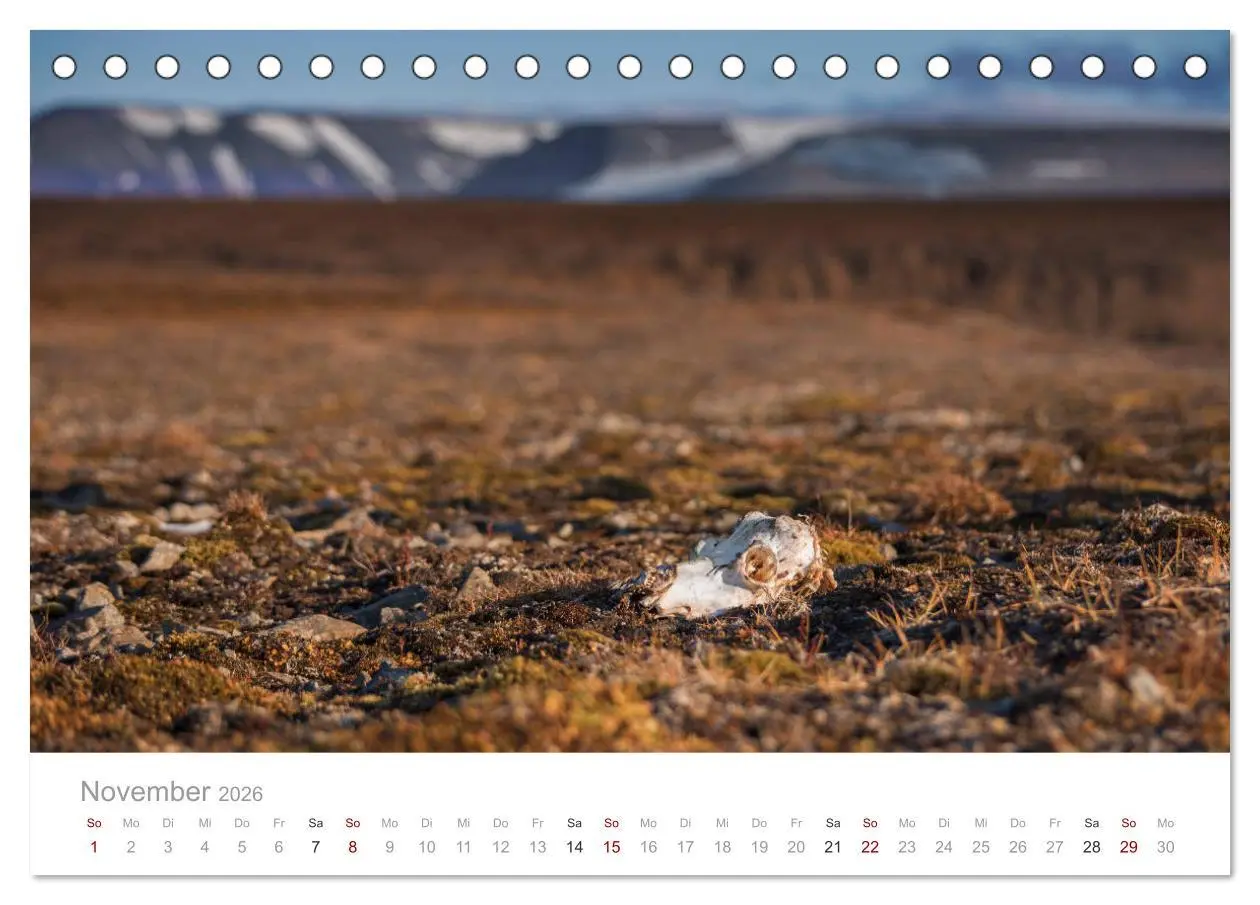 Bild: 9783457842843 | Spitzbergen - Wild.Rau.Ungezähmt. (Tischkalender 2026 DIN A5 quer),...