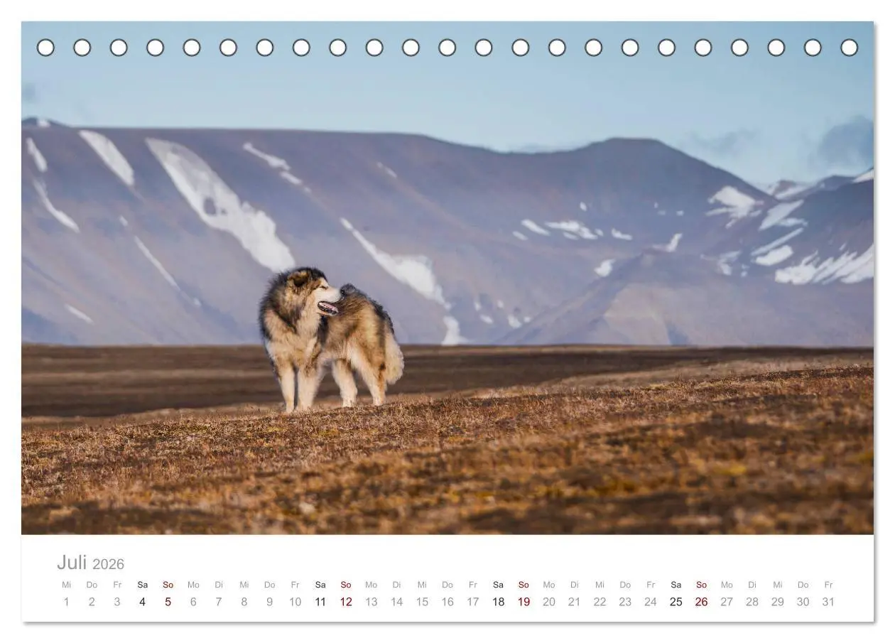 Bild: 9783457842843 | Spitzbergen - Wild.Rau.Ungezähmt. (Tischkalender 2026 DIN A5 quer),...