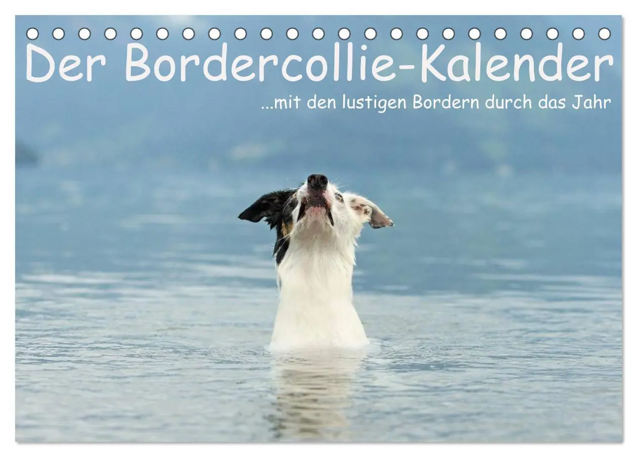 Cover: 9783516172843 | Der Bordercollie-Kalender (Tischkalender 2026 DIN A5 quer),...