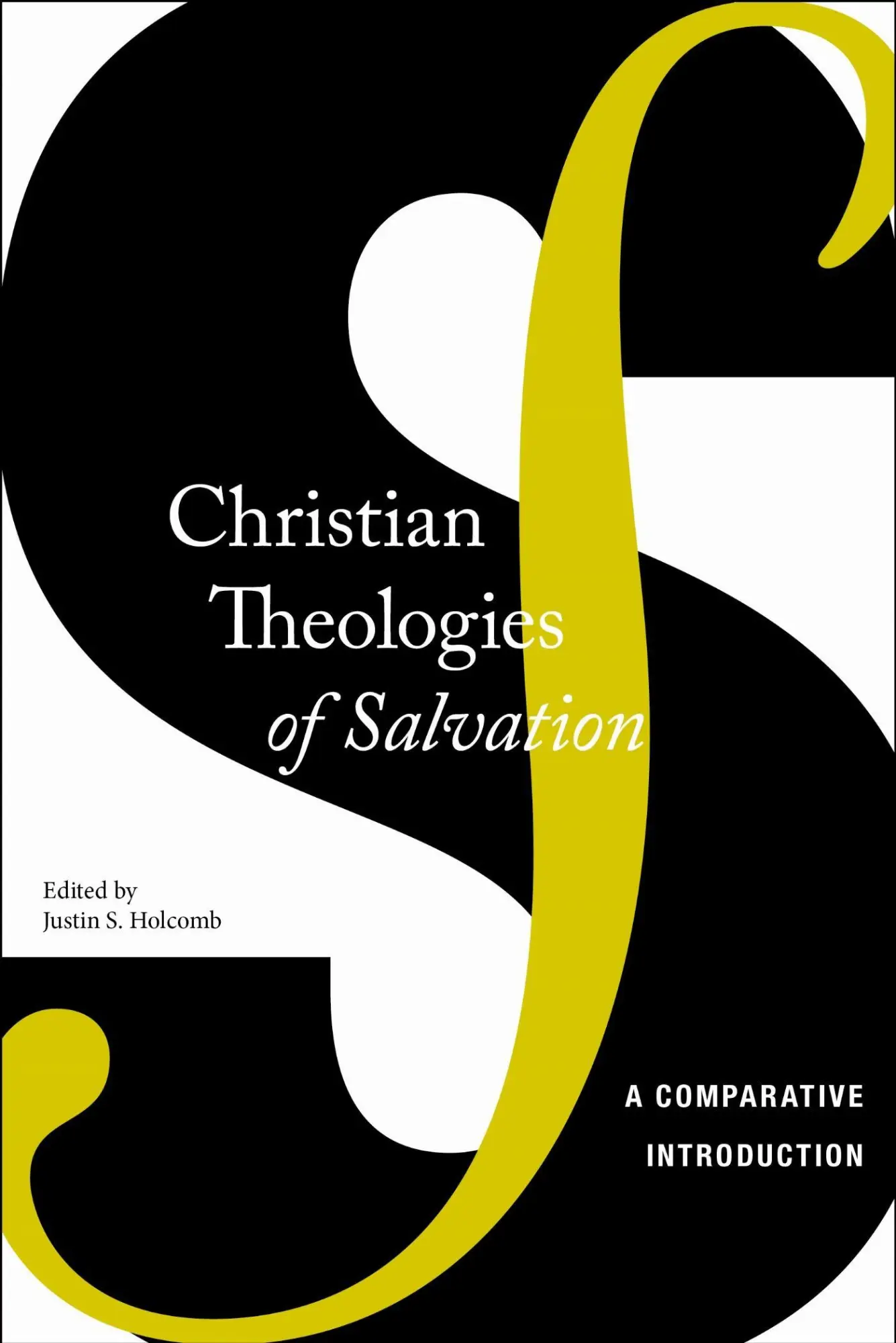 Cover: 9780814762943 | Christian Theologies of Salvation | A Comparative Introduction | Buch