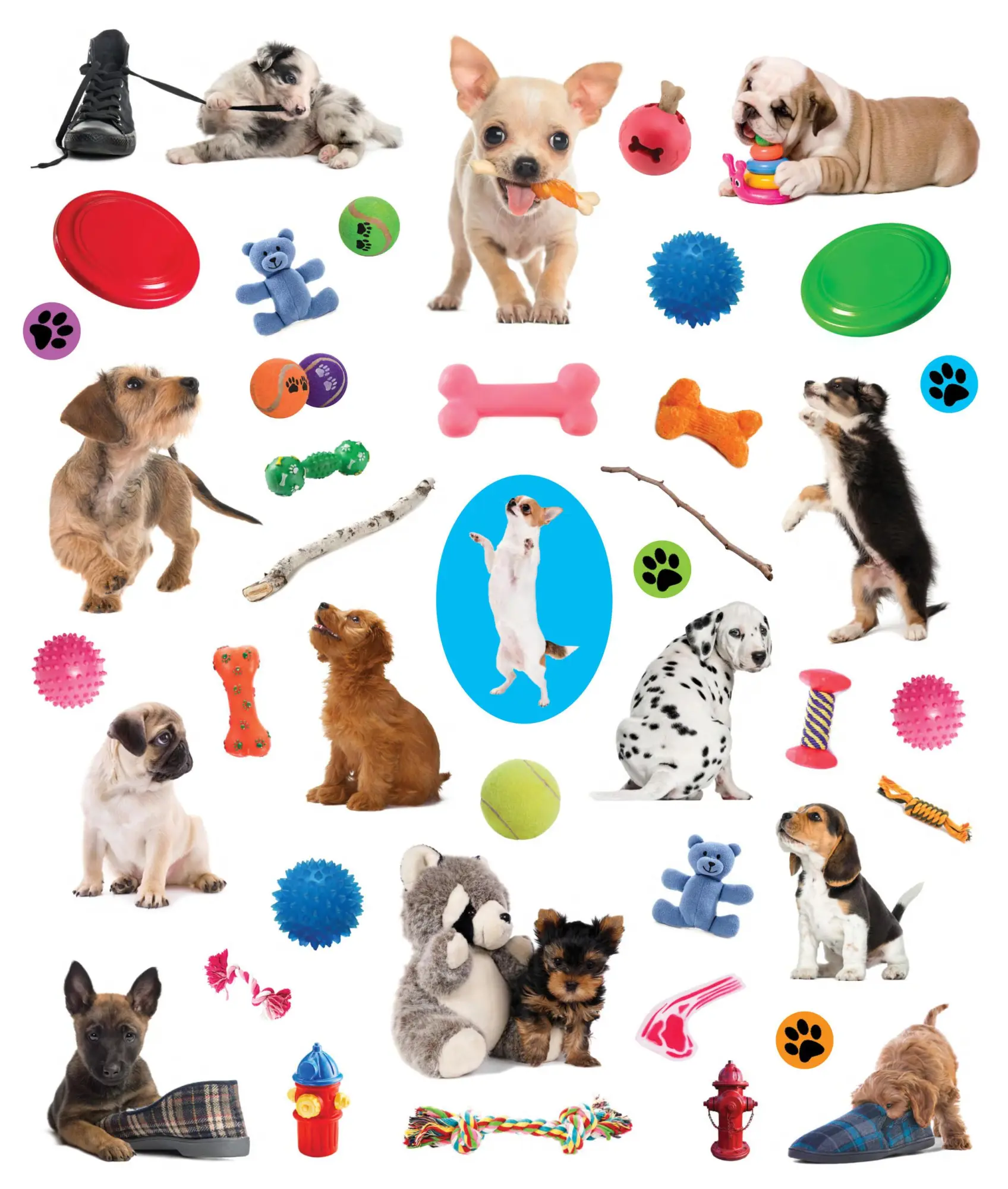Bild: 9781523502943 | Eyelike Stickers: Puppies | Workman Publishing | Taschenbuch | 2018