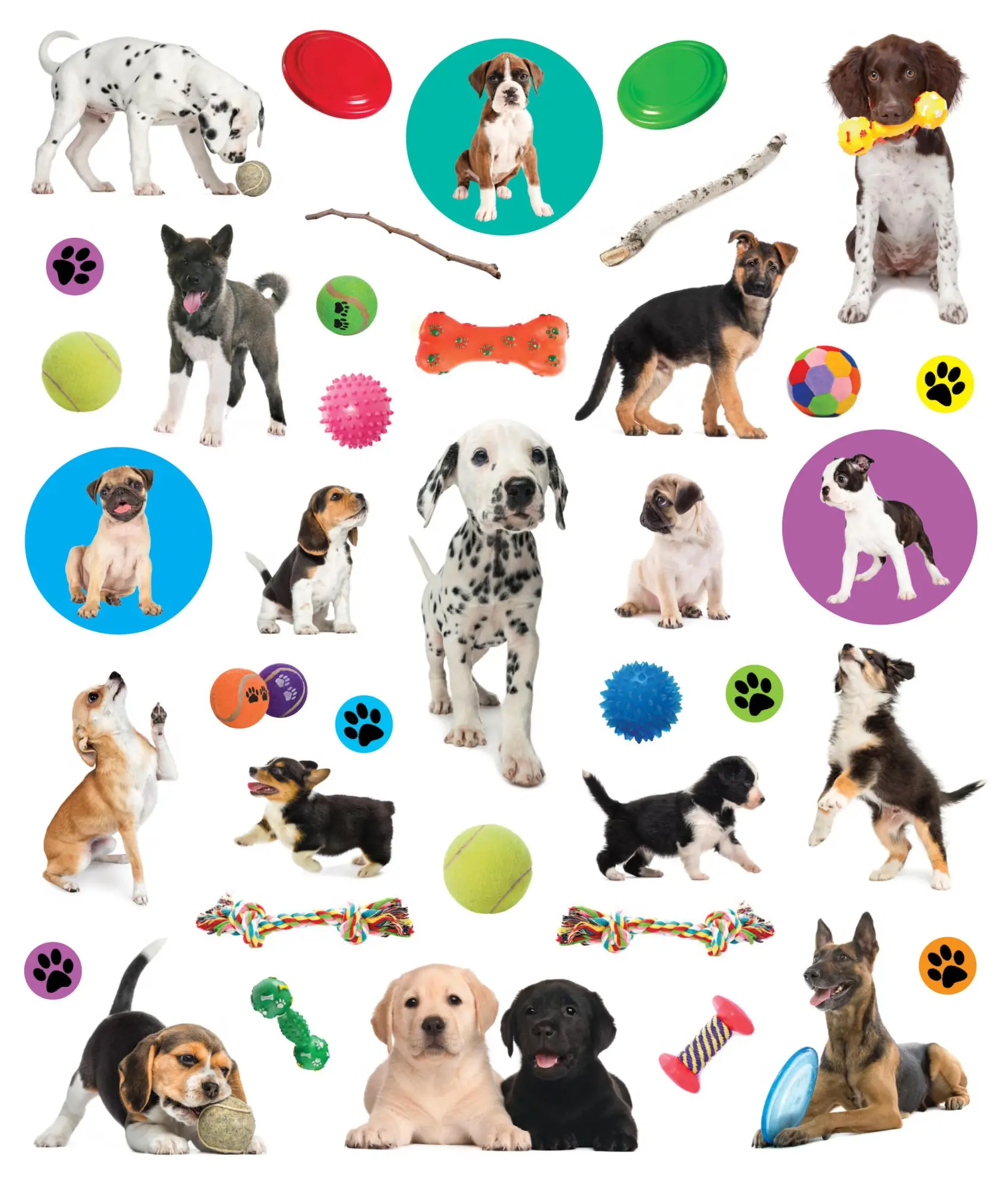Bild: 9781523502943 | Eyelike Stickers: Puppies | Workman Publishing | Taschenbuch | 2018