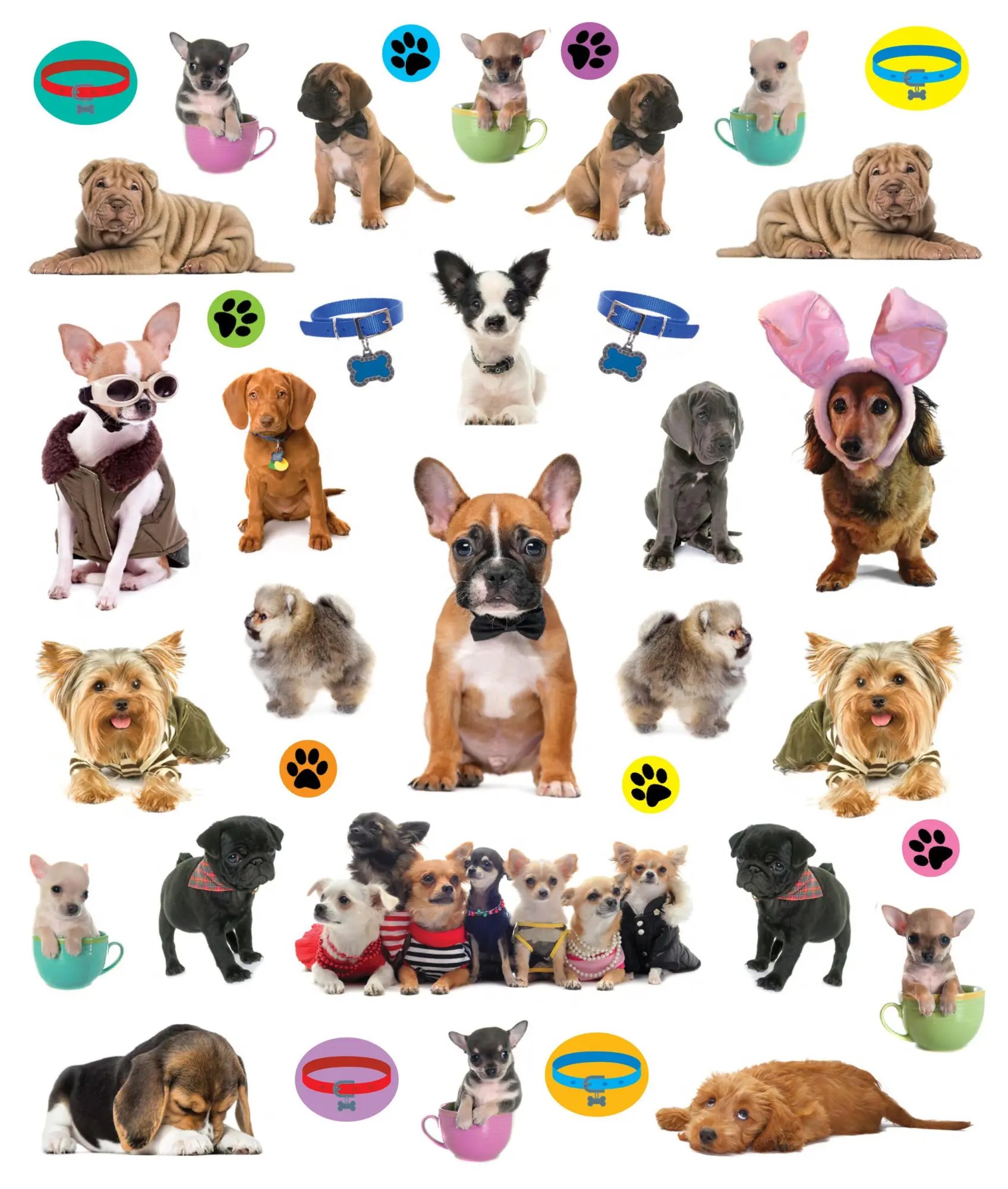 Bild: 9781523502943 | Eyelike Stickers: Puppies | Workman Publishing | Taschenbuch | 2018