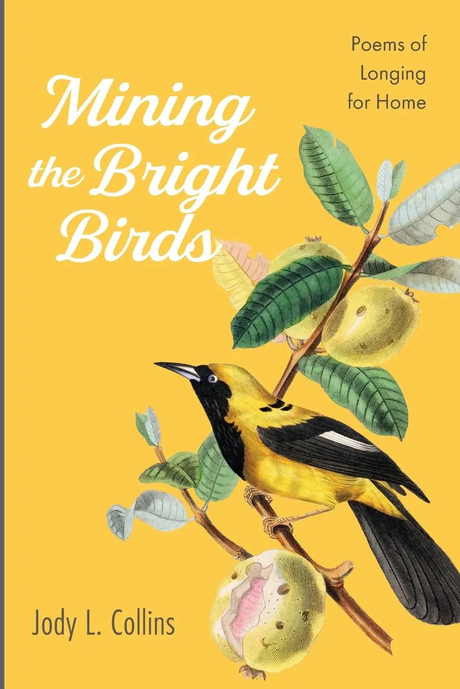 Cover: 9781666782943 | Mining the Bright Birds | Jody L. Collins | Taschenbuch | Englisch