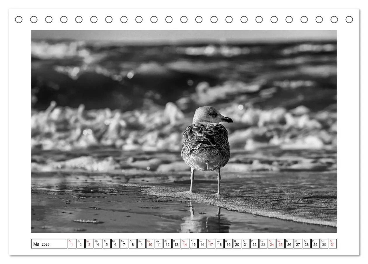 Bild: 9783516092943 | Am Strand von St. Peter-Ording SCHWARZ-WEISS (Tischkalender 2026...