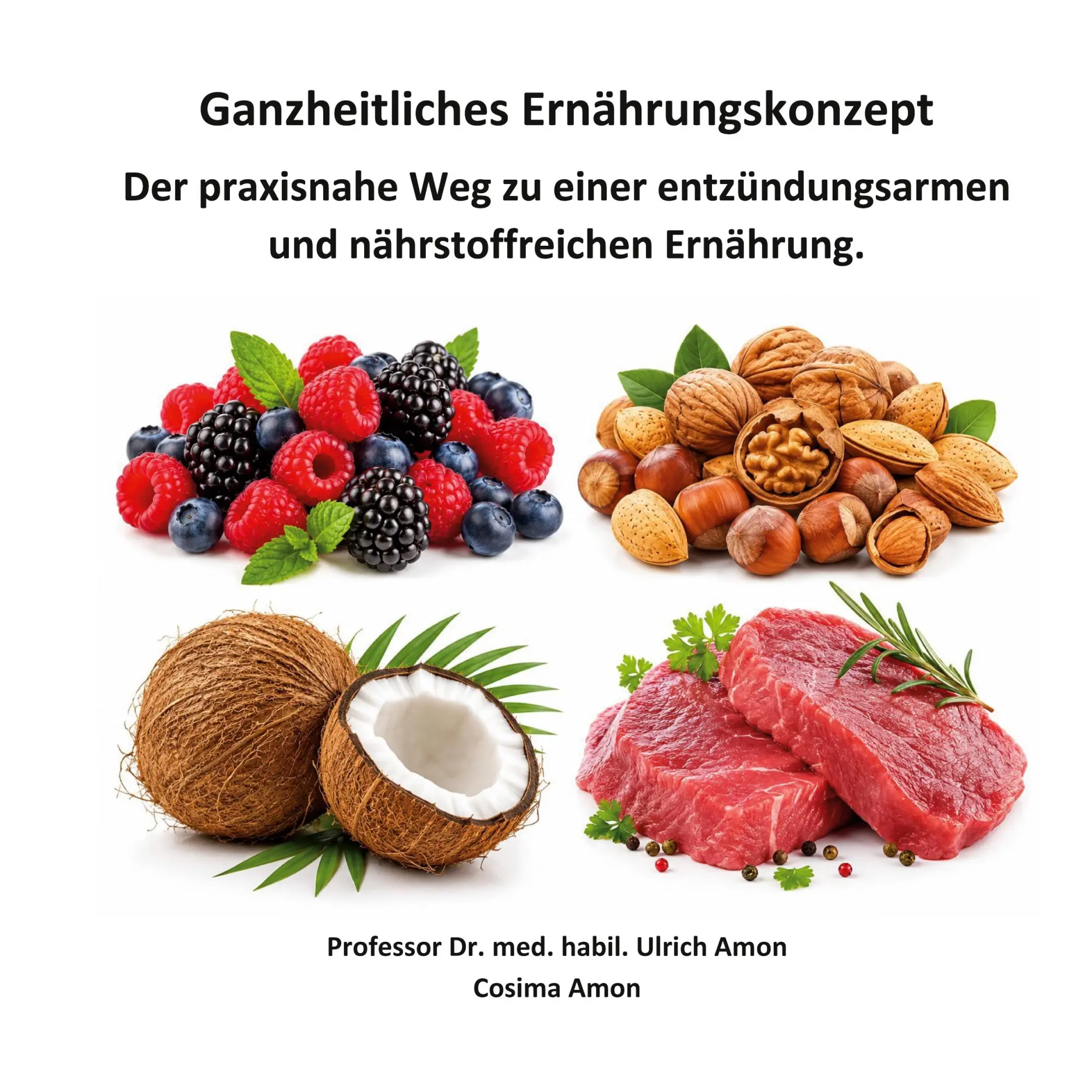 Cover: 9783696352943 | Ganzheitliches Ernährungskonzept | Ulrich Amon (u. a.) | Taschenbuch