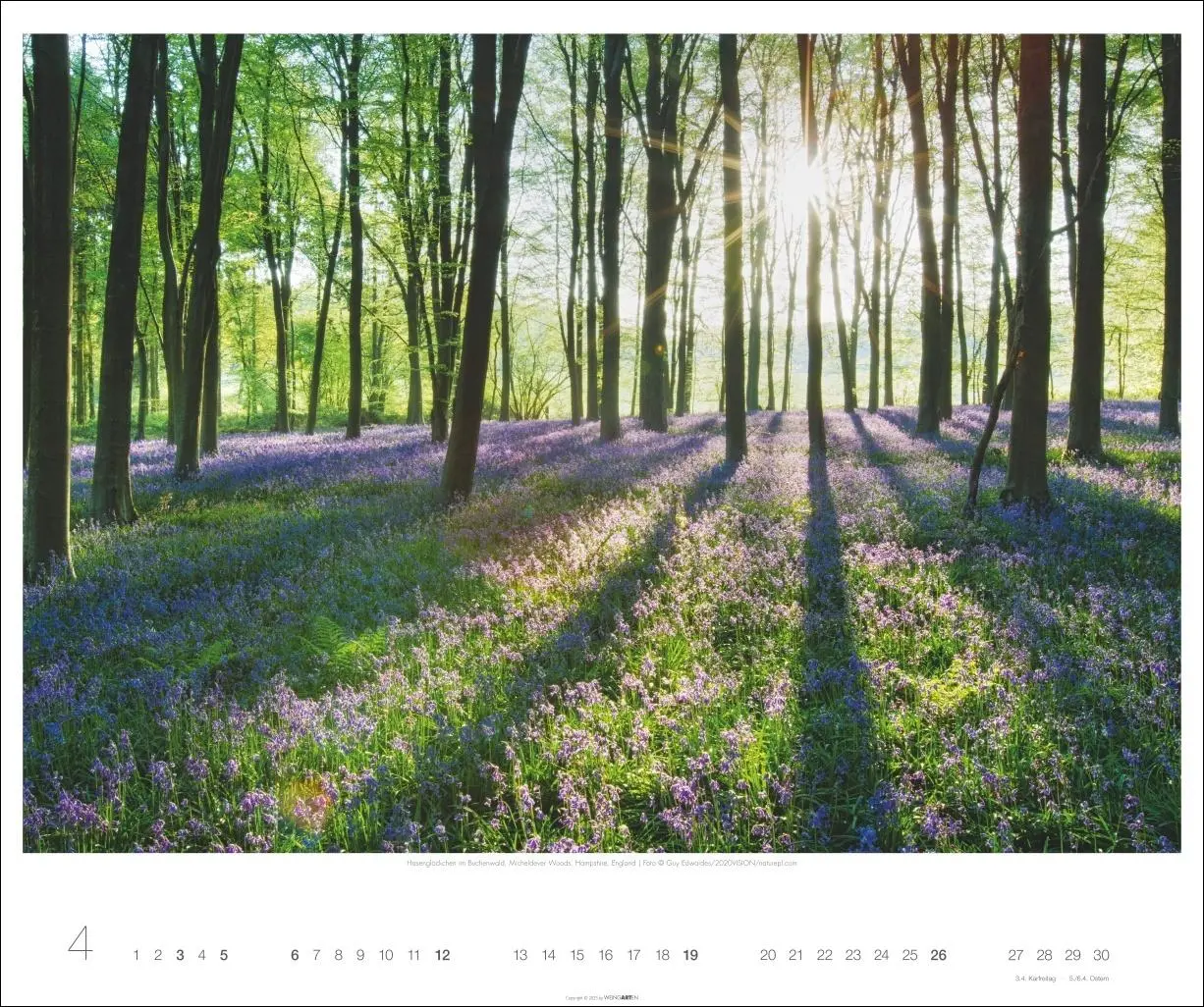 Bild: 9783839902943 | Magische Landschaften 2026 | Guy Edwardes | Kalender | Spiralbindung
