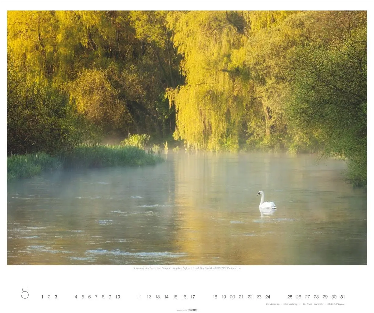 Bild: 9783839902943 | Magische Landschaften 2026 | Guy Edwardes | Kalender | Spiralbindung
