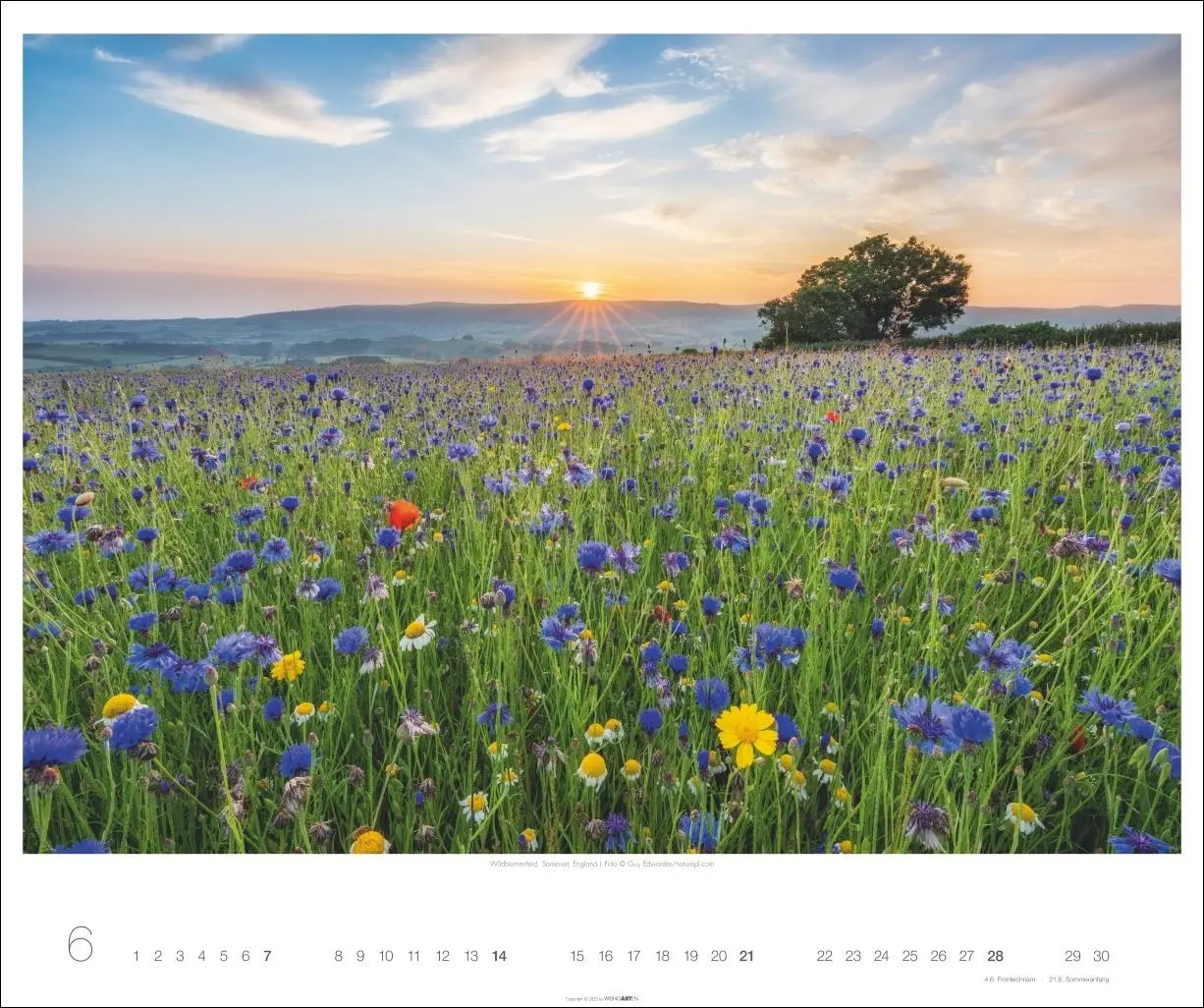 Bild: 9783839902943 | Magische Landschaften 2026 | Guy Edwardes | Kalender | Spiralbindung