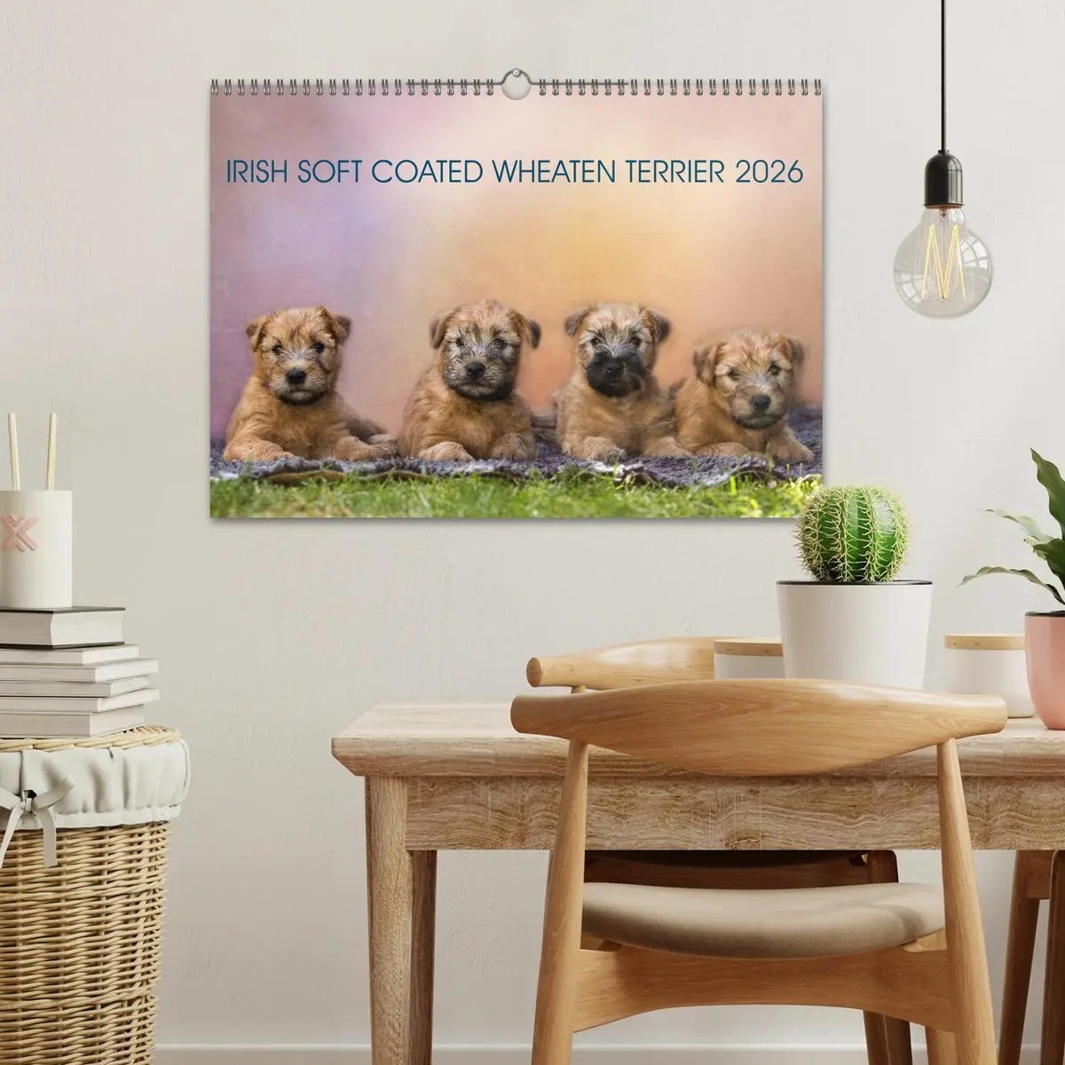 Bild: 9783457893043 | IRISH SOFT COATED WHEATEN TERRIER 2026 (Wandkalender 2026 DIN A3...