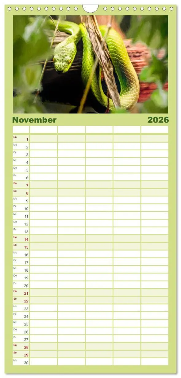 Bild: 9783516503043 | Familienplaner 2026 - Hallo Dschungel - Artwork mit 5 Spalten...