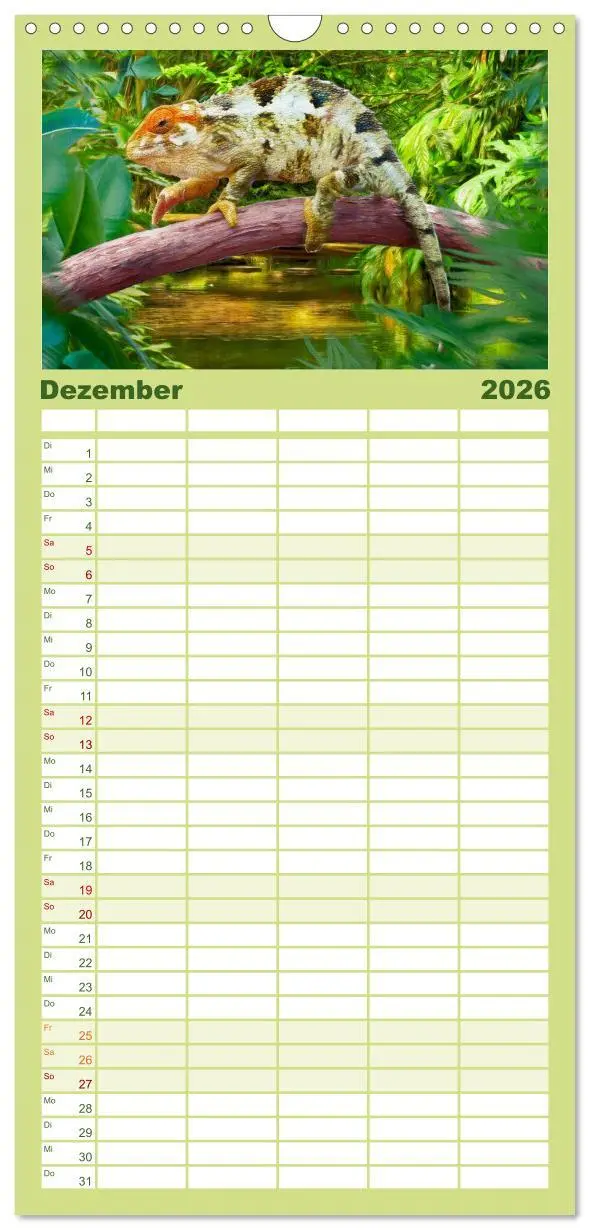 Bild: 9783516503043 | Familienplaner 2026 - Hallo Dschungel - Artwork mit 5 Spalten...