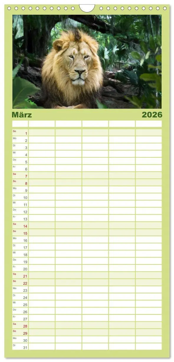 Bild: 9783516503043 | Familienplaner 2026 - Hallo Dschungel - Artwork mit 5 Spalten...