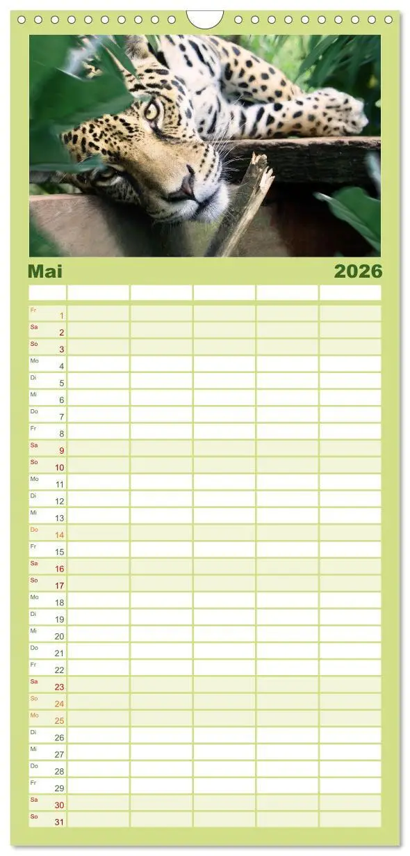 Bild: 9783516503043 | Familienplaner 2026 - Hallo Dschungel - Artwork mit 5 Spalten...