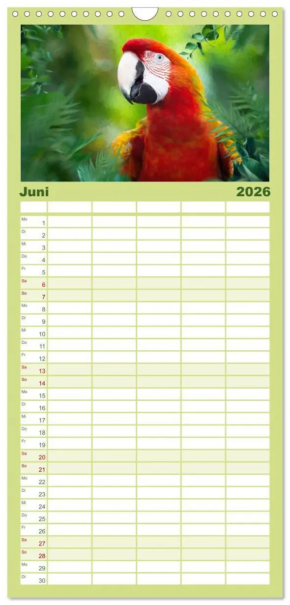 Bild: 9783516503043 | Familienplaner 2026 - Hallo Dschungel - Artwork mit 5 Spalten...
