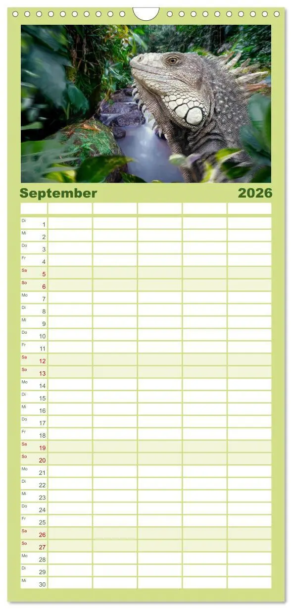 Bild: 9783516503043 | Familienplaner 2026 - Hallo Dschungel - Artwork mit 5 Spalten...