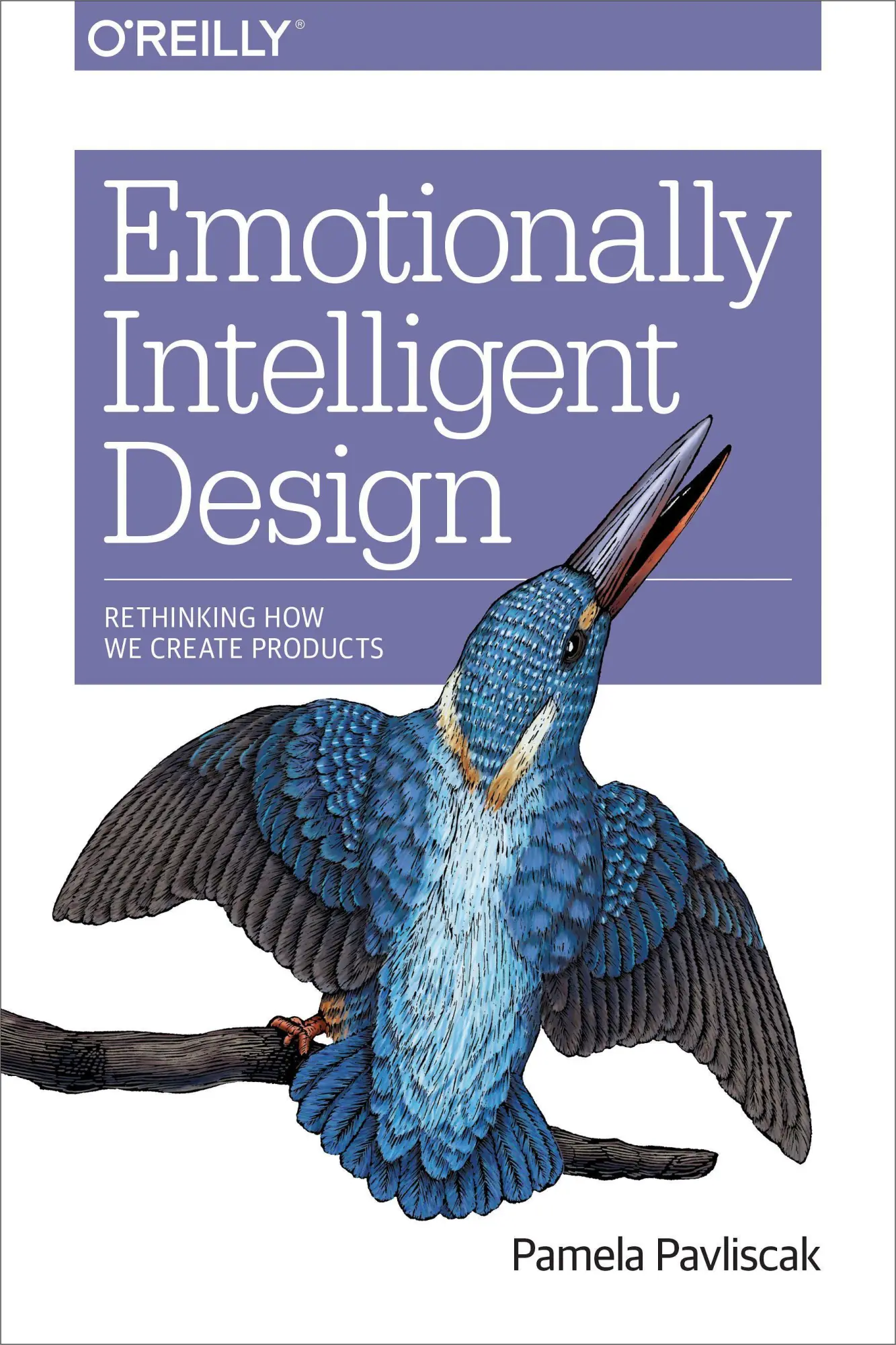 Cover: 9781491953143 | Emotionally Intelligent Design | Rethinking How We Create Products