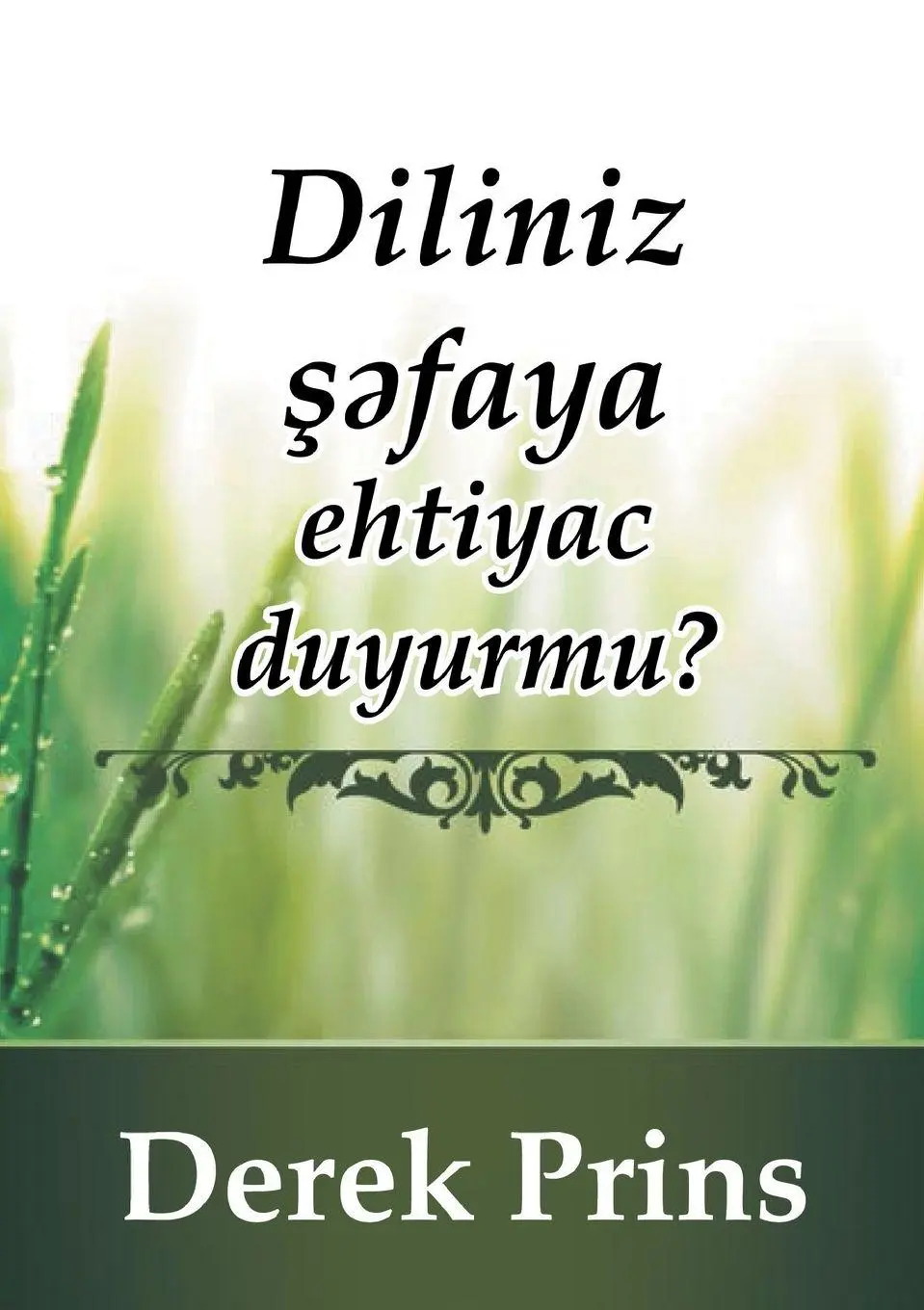 Cover: 9781782633143 | Does your tongue need healing - AZERI | Derek Prince | Taschenbuch