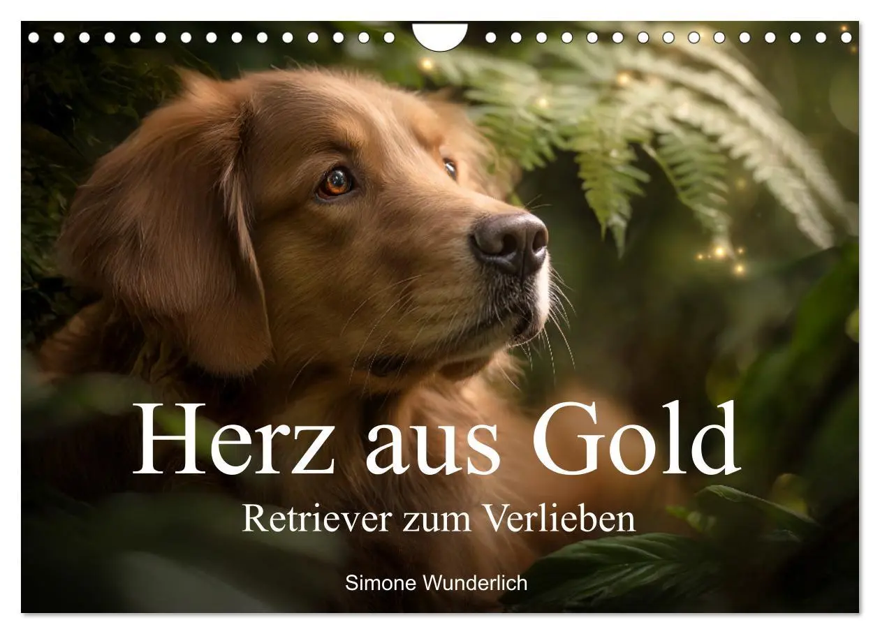 Cover: 9783516593143 | Herz aus Gold - Retriever zum Verlieben (Wandkalender 2026 DIN A4...
