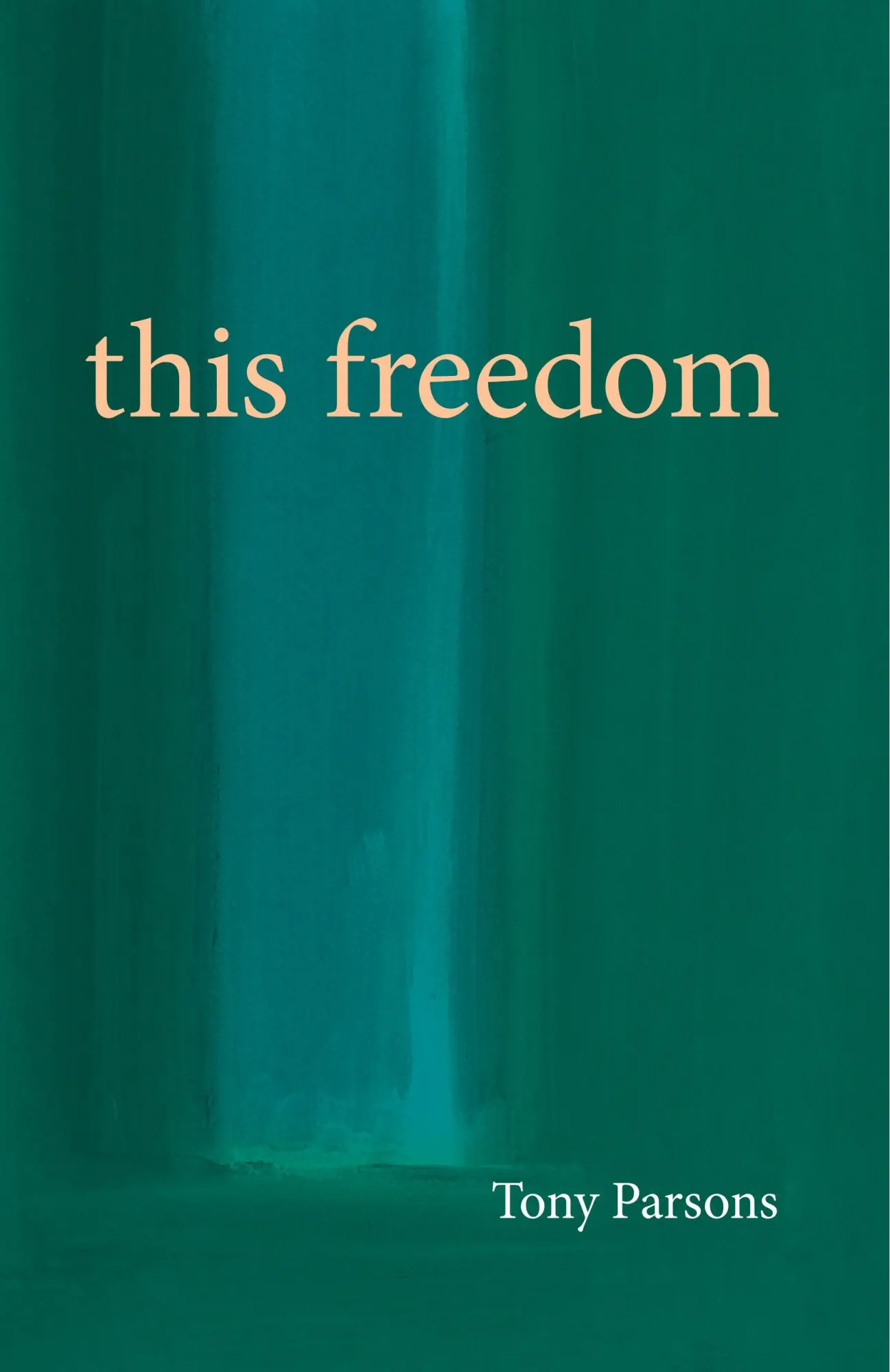 Cover: 9780953303243 | This Freedom | Tony Parsons | Taschenbuch | Englisch | 2015