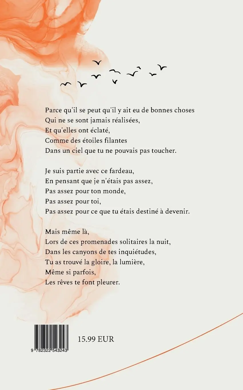 Rückseite: 9782322543243 | les rêves te feront pleurer | Sarra Salhi | Taschenbuch | Paperback