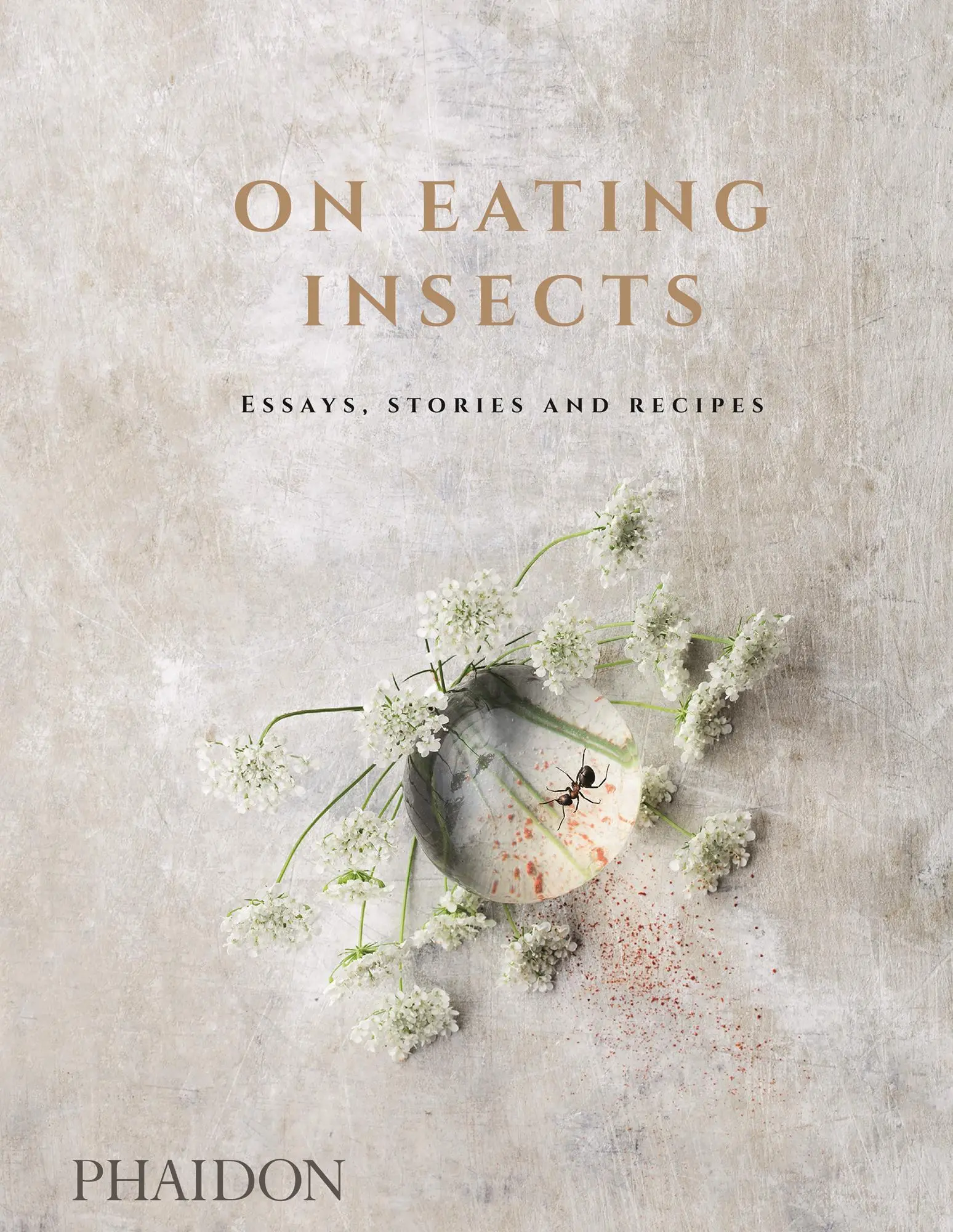 Cover: 9780714873343 | On Eating Insects | Essays, Stories and Recipes | Joshua Evans (u. a.)