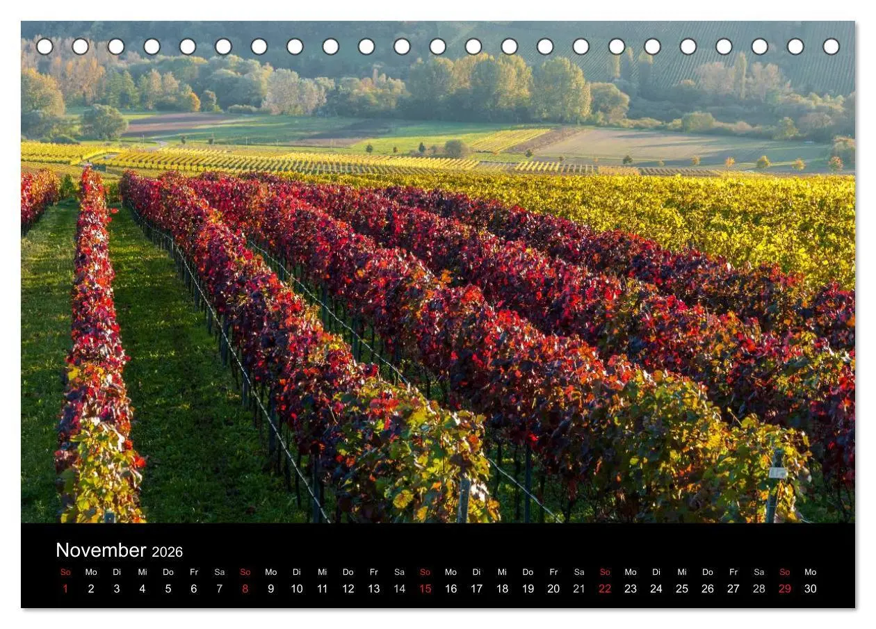 Bild: 9783516023343 | Sommerach - Perle der Mainschleife (Tischkalender 2026 DIN A5...