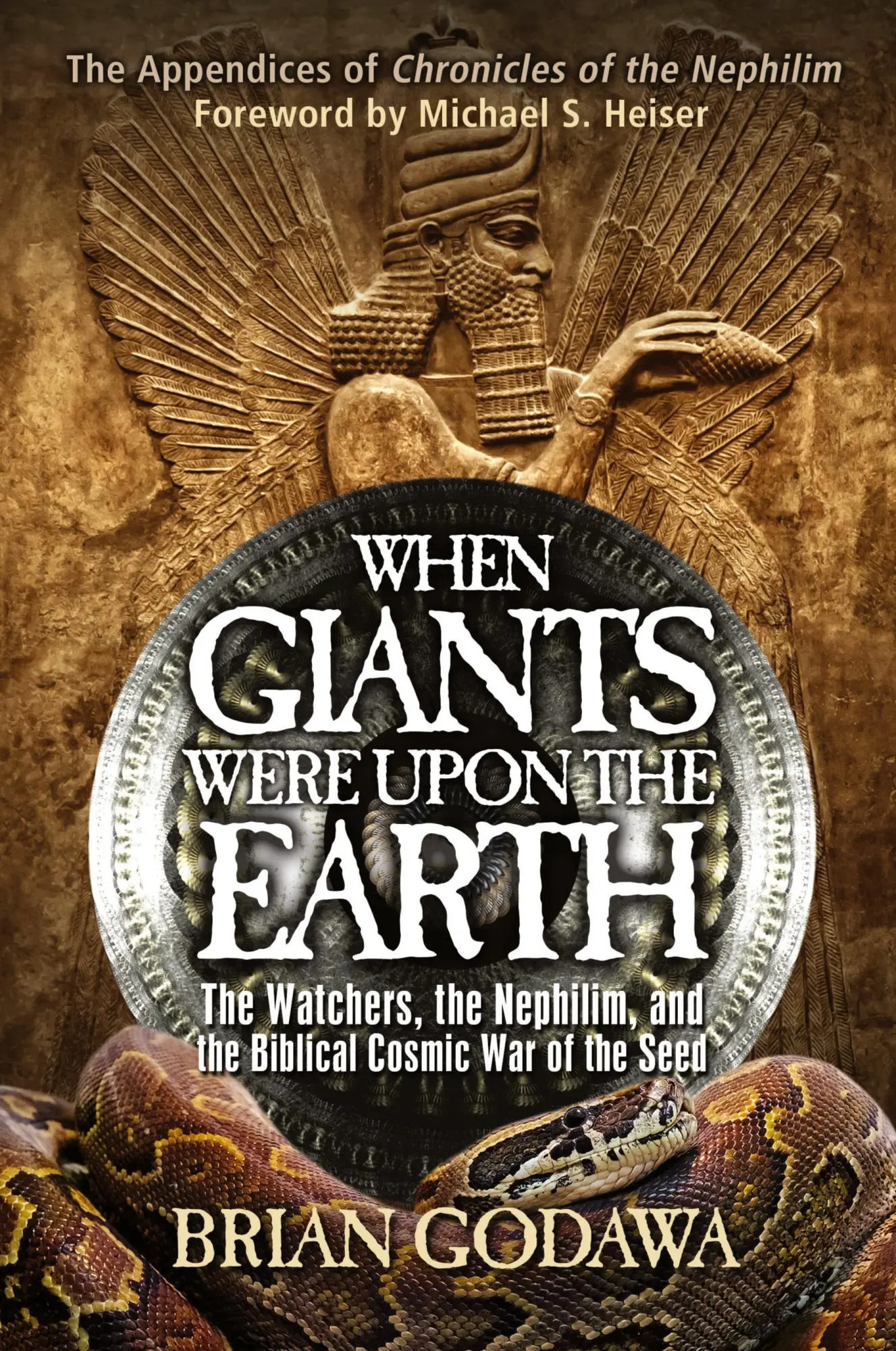 Cover: 9780991143443 | When Giants Were Upon the Earth | Brian Godawa | Taschenbuch | 2014
