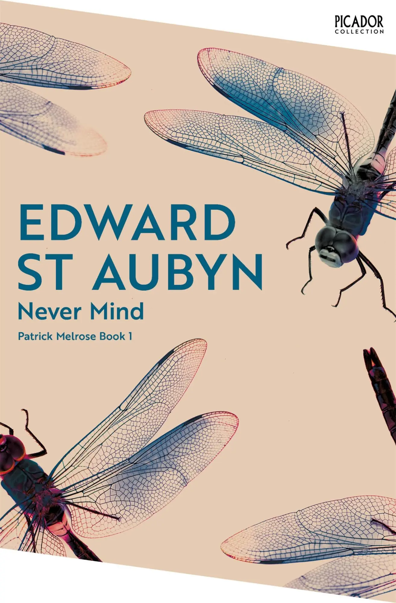 Cover: 9781035063543 | Never Mind | Edward St Aubyn | Taschenbuch | Englisch | 2025