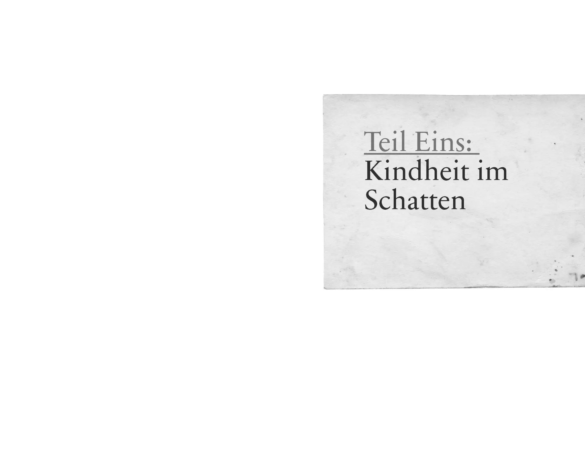 Bild: 9783466373543 | Schattenschicksale | Monika Dittombée | Buch | 224 S. | Deutsch | 2025