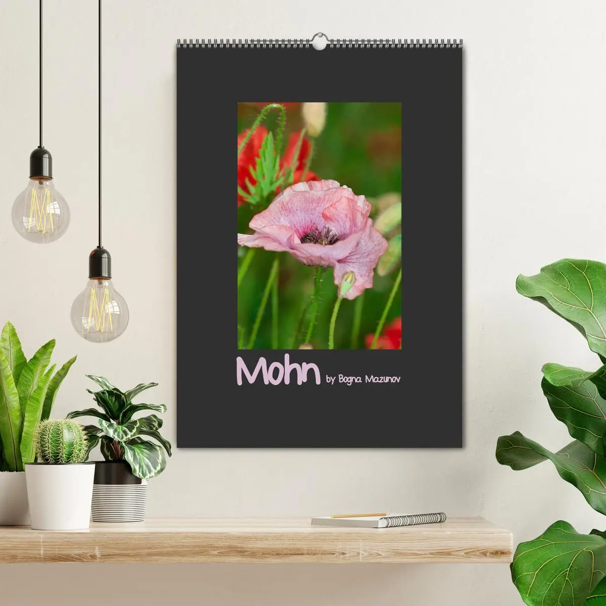 Bild: 9783516483543 | Mohn (Wandkalender 2026 DIN A2 hoch), CALVENDO Monatskalender | 2026