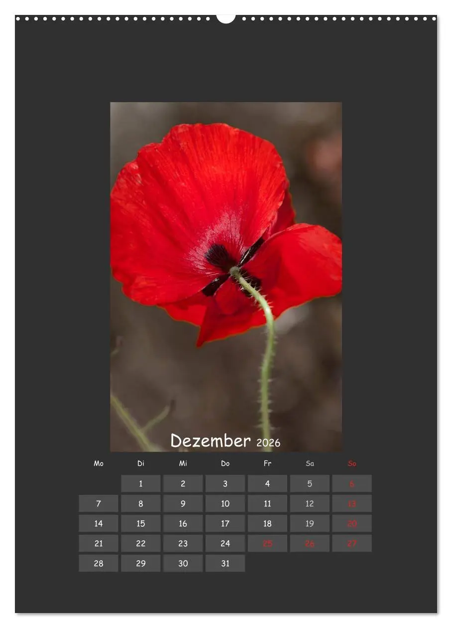 Bild: 9783516483543 | Mohn (Wandkalender 2026 DIN A2 hoch), CALVENDO Monatskalender | 2026