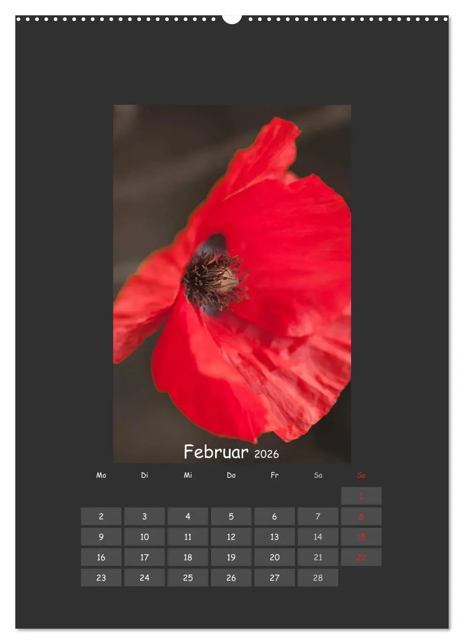 Bild: 9783516483543 | Mohn (Wandkalender 2026 DIN A2 hoch), CALVENDO Monatskalender | 2026