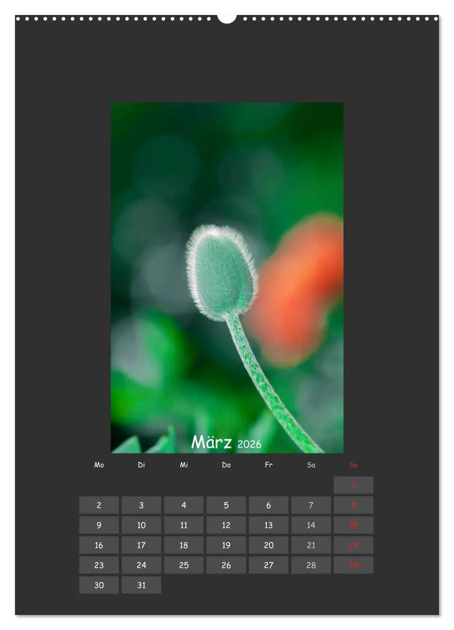 Bild: 9783516483543 | Mohn (Wandkalender 2026 DIN A2 hoch), CALVENDO Monatskalender | 2026