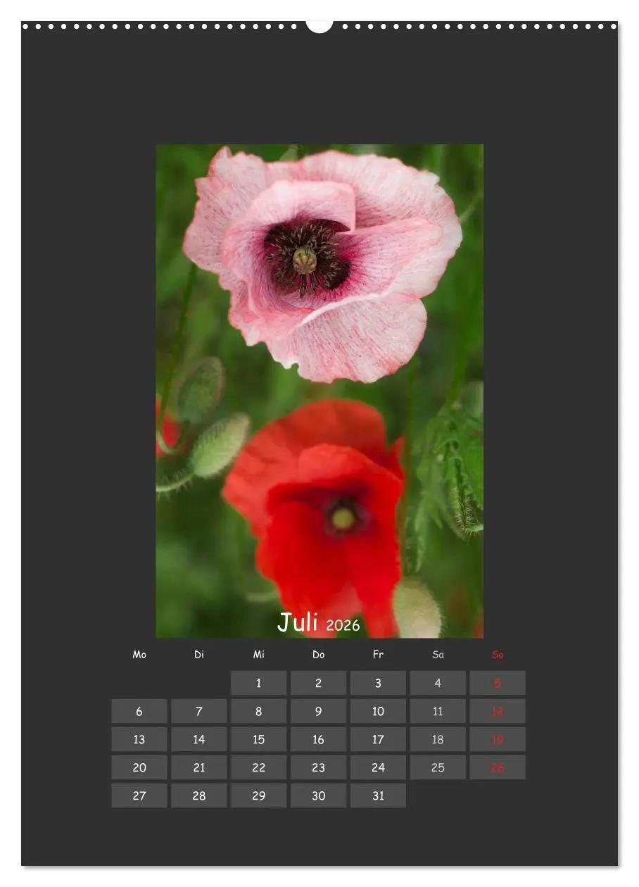 Bild: 9783516483543 | Mohn (Wandkalender 2026 DIN A2 hoch), CALVENDO Monatskalender | 2026