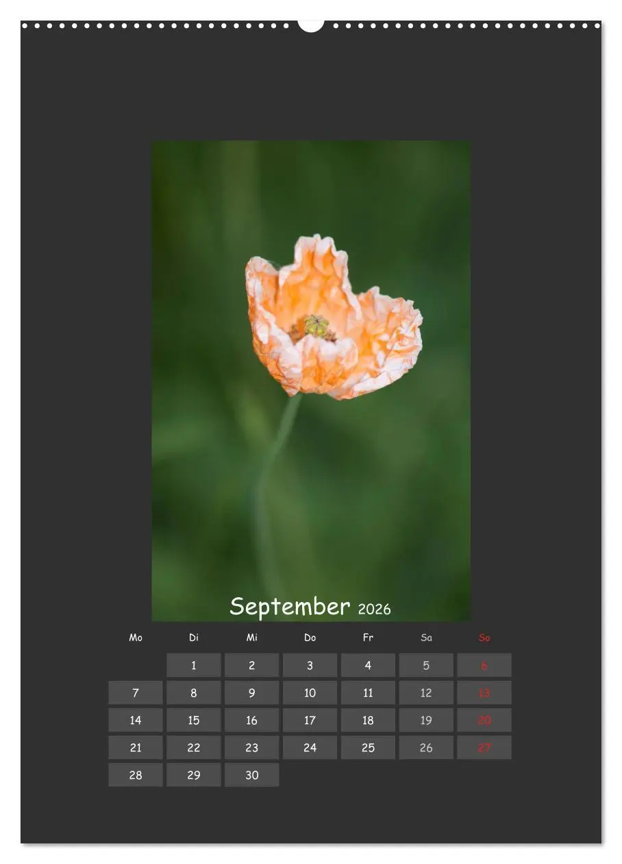 Bild: 9783516483543 | Mohn (Wandkalender 2026 DIN A2 hoch), CALVENDO Monatskalender | 2026