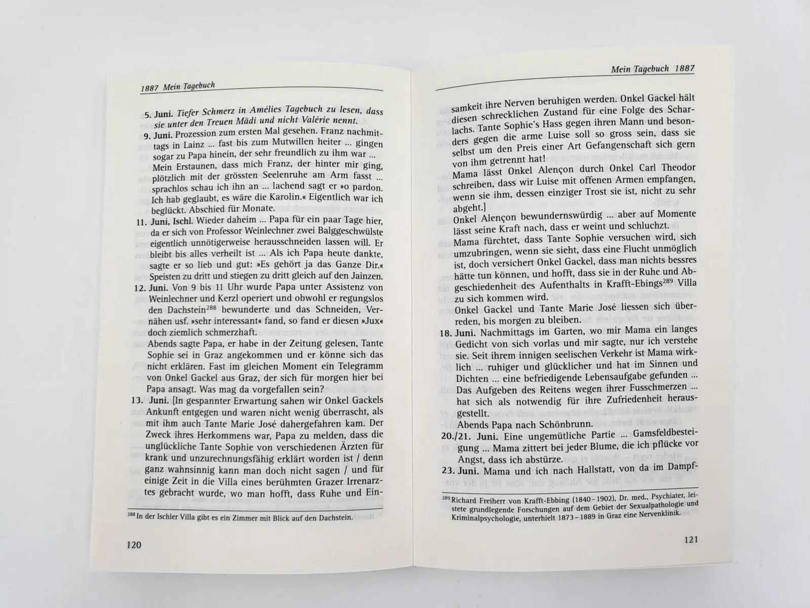 Bild: 9783492243643 | Das Tagebuch der Lieblingstochter von Kaiserin Elisabeth 1878-1899